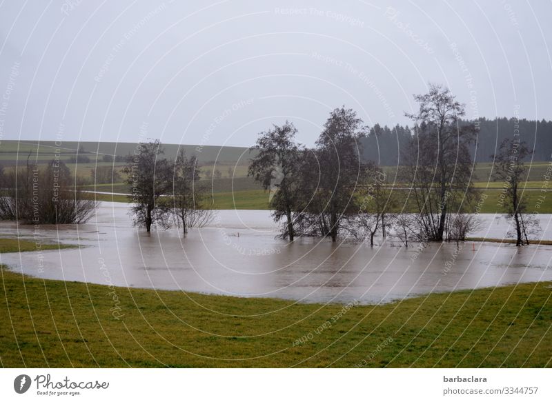 Flooding Landscape Plant Elements Earth Water Sky Winter Storm Gale Rain Tree Bushes Meadow River bank Brook Threat Dark Emotions Concern Climate Nature