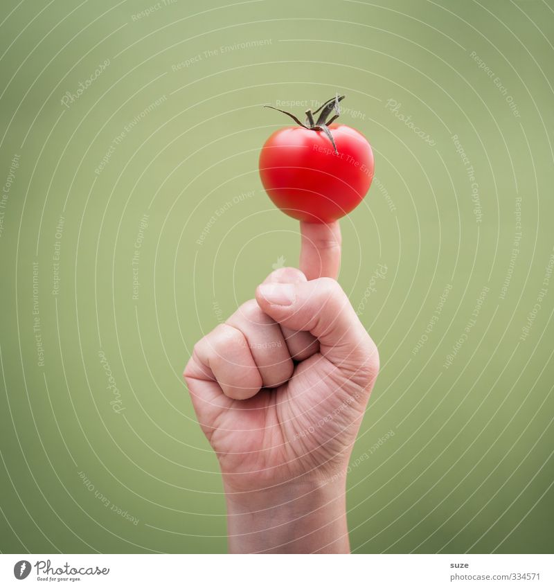 beef tomato Food Vegetable Fruit Breakfast Organic produce Vegetarian diet Finger food Arm Hand Fingers Sign Communicate Cool (slang) Simple Hip & trendy