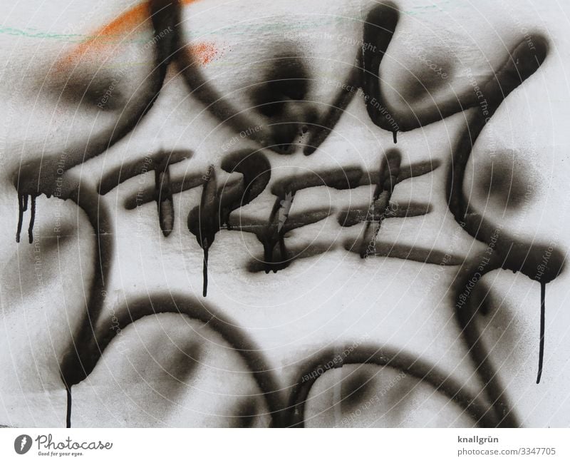 free Wall (barrier) Wall (building) Graffiti Communicate Free Town Black White Emotions Freedom Colour photo Exterior shot Deserted Copy Space bottom Day