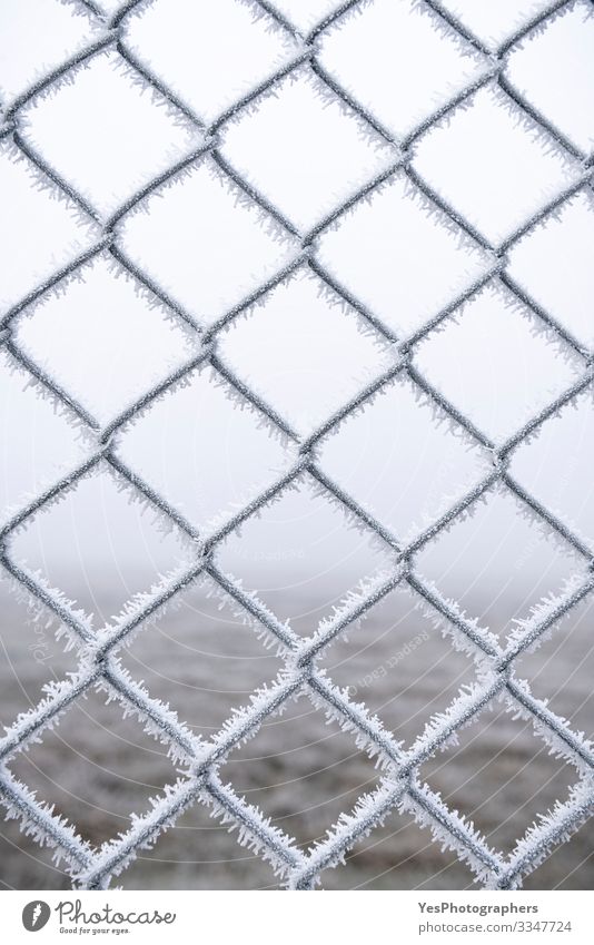 Frozen metal fence. Wire fence covered with snow Winter Snow Bad weather Fog Ice Frost Metal Steel Freeze Cold White Protection Safety (feeling of) background