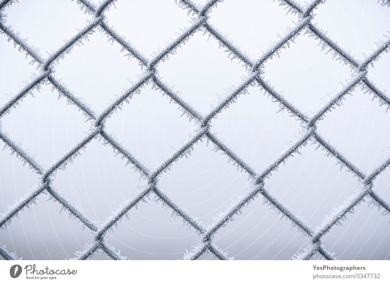 Metal wire fence covered with snow. Cold temperatures Winter Snow Bad weather Fog Ice Frost Steel Freeze White Protection Safety (feeling of) background Barrier