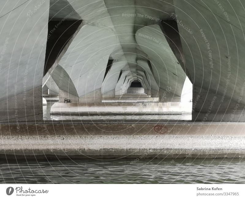 Under the bridge in Singapore at the Merlion Capital city Bridge Manmade structures Architecture Tourist Attraction Landmark Stone Concrete Water Authentic