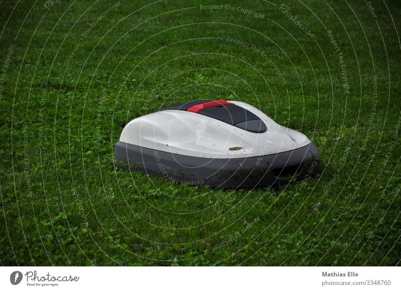 Lawn mower robot Landscape Plant Grass Garden Gray green White Lawnmower Mow the lawn Robot Lawn mowing robot Comfortable Helper Garden helper Gardening