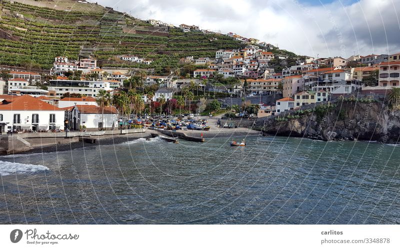 Madeira | Câmara de Lobos Portugal Camara de lobos Fishing village Tourism Coast Ocean Atlantic Ocean boats Fishing boats Churchill Bay Cave of the monk seals