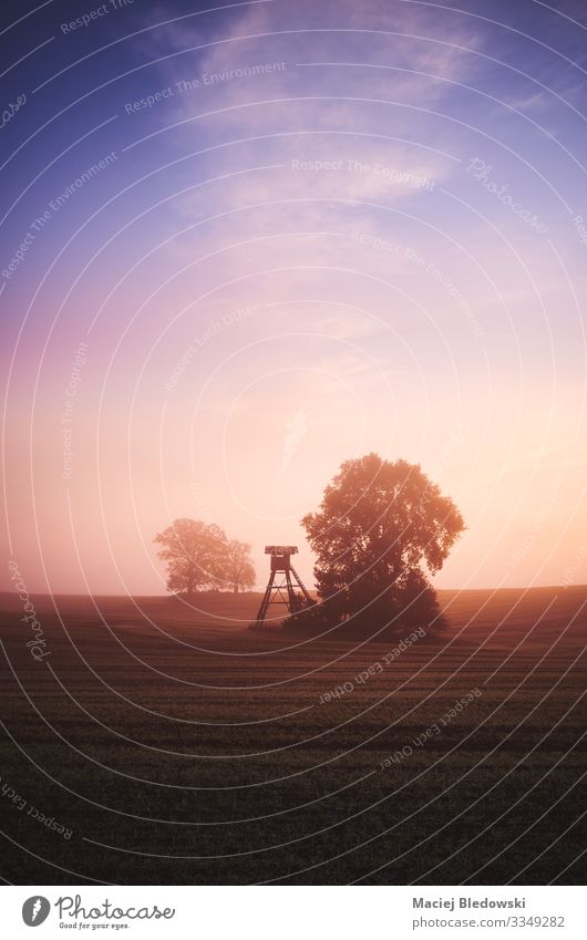 Rural landscape at sunrise. Hunting Far-off places Freedom Nature Landscape Sky Autumn Weather Fog Tree Meadow Field Dark Dream Surveillance hunting tower