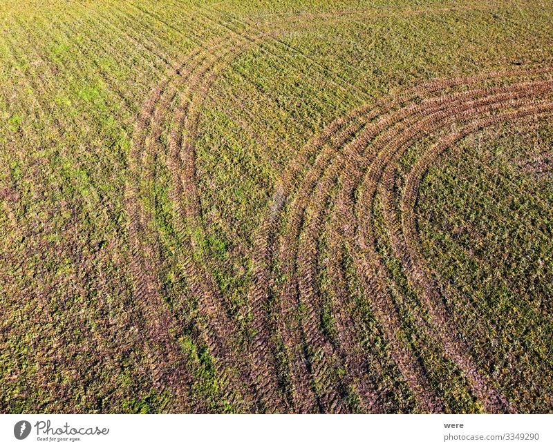 Pattern from tractor tracks on a green field Nature Spring Field Precision area flight Background picture pattern above Aerial view bird's eye view copter