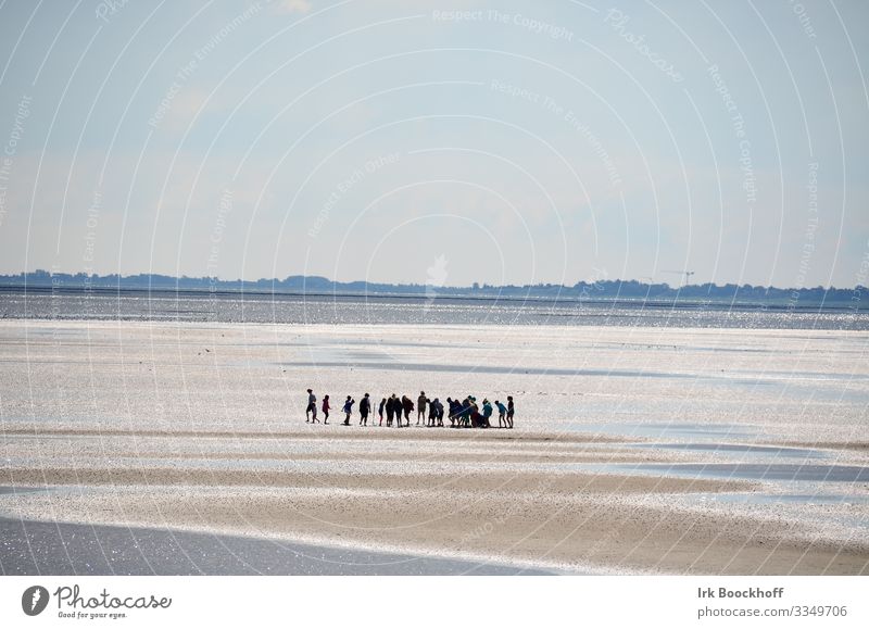 Group of school children in the middle of the Wadden Sea at the North Sea Vacation & Travel Tourism Trip Ocean Mud flats Human being Youth (Young adults)