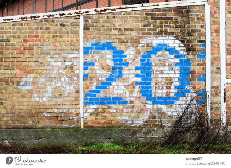 Blue number 20 on brick wall Digits and numbers Colour photo Deserted Exterior shot Wall (building) Wall (barrier) Copy Space left brickwork house wall