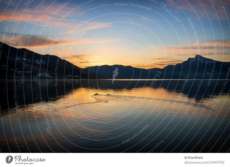 Sunrise at Mondsee Harmonious Relaxation Calm Nature Water Sky Sunset Autumn Winter Beautiful weather Alps Mountain Lakeside Observe To enjoy Together Idyll