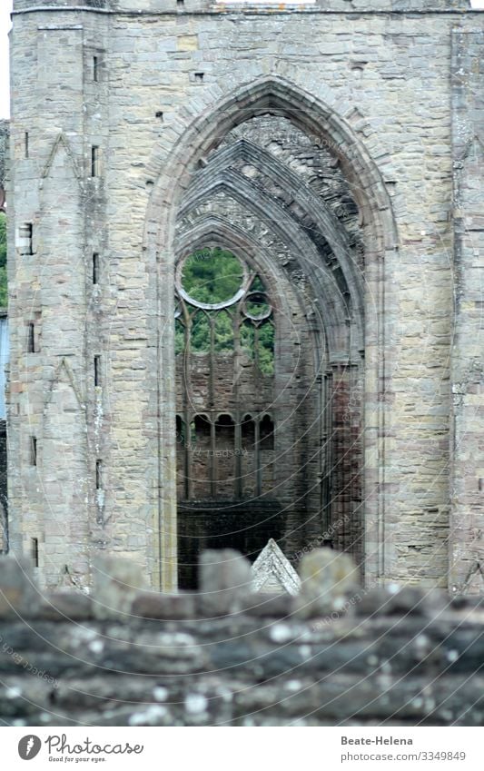 To marvel at 2: Church skeletons in Wales Church portal rib Picturesque Transparent Nature Outdoors Landscape Green Historic