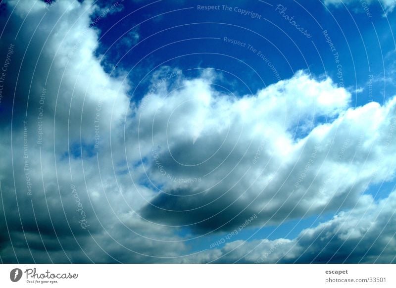canopy Clouds Sky Weather Blue Exterior shot