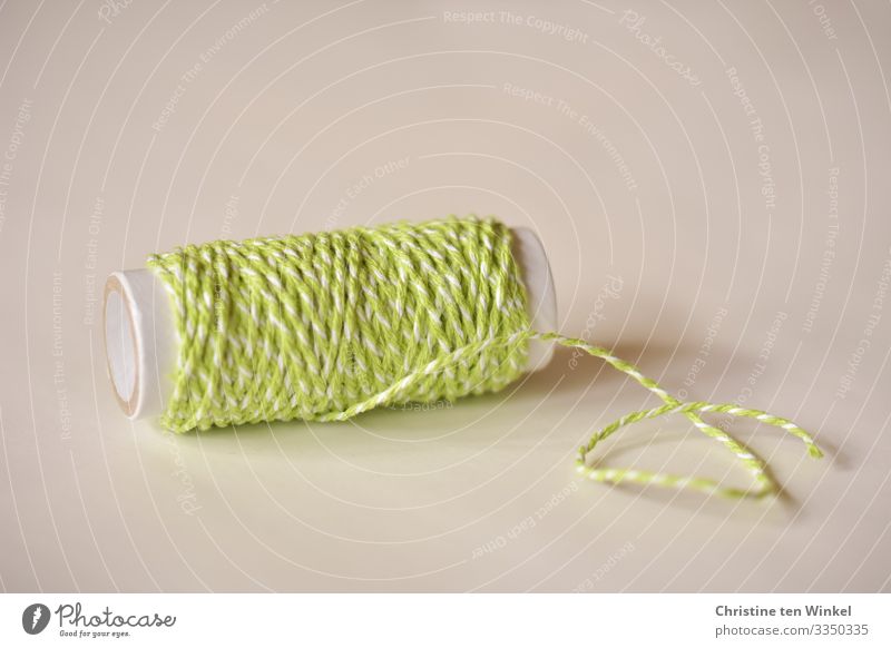String in green and white on a cardboard roll Decoration Kitsch Odds and ends Gift wrapping loop belt Bright Beautiful Green White Creativity Arrangement