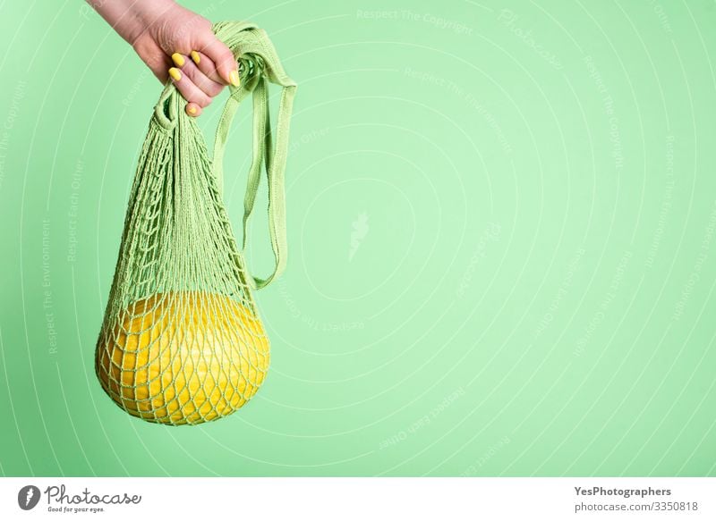 Honeydew melon hanging in mesh shopping bag Fruit Dessert Nutrition Breakfast Organic produce Shopping Healthy Eating Green buying fruits colorful cucurbitaceae