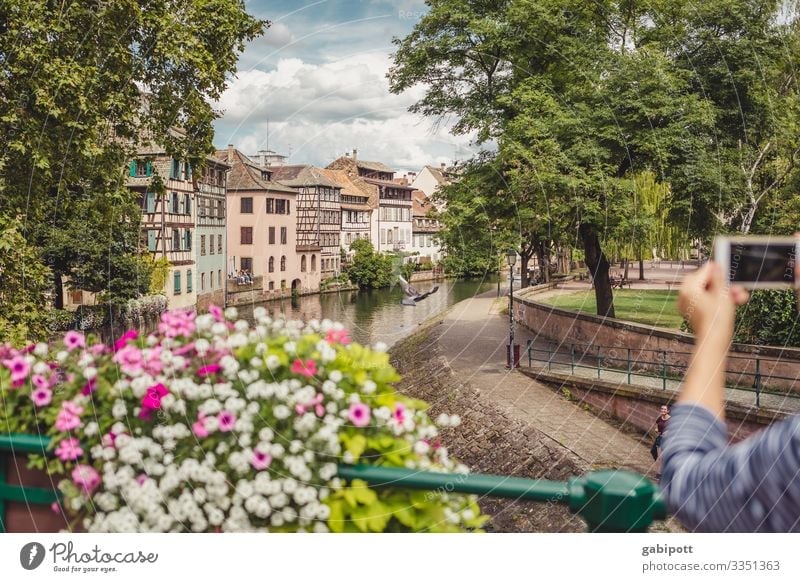 City trip Strasbourg 3/5 Nature Sky Summer Weather Beautiful weather Flower Park France Europe Town Downtown Old town House (Residential Structure) Bridge