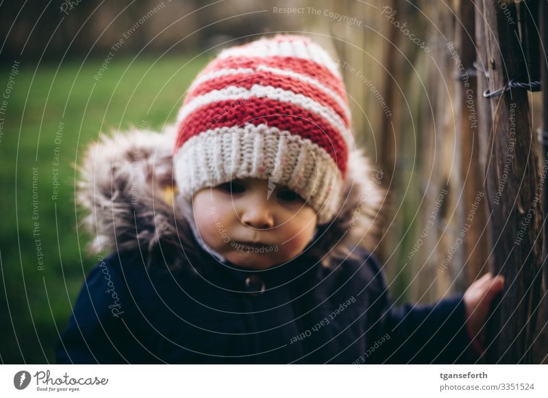 Toddler in autumn Human being Masculine Child Boy (child) Infancy 1 1 - 3 years Observe Study Dream Authentic Friendliness Happiness Healthy Happy Good pretty