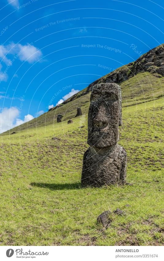 Close-up of a standing moai on the Rano Raraku hill Design Vacation & Travel Tourism Adventure Summer Ocean Island Head Face Art Work of art Sculpture Culture