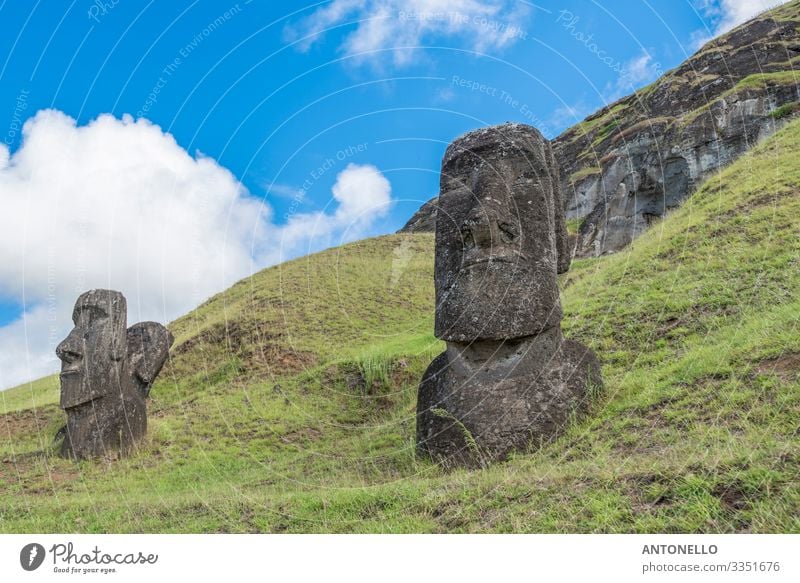 Moai guarding the Rano Raraku volcano Vacation & Travel Tourism Adventure Far-off places Summer Ocean Island Head Face Work of art Sculpture Culture Environment