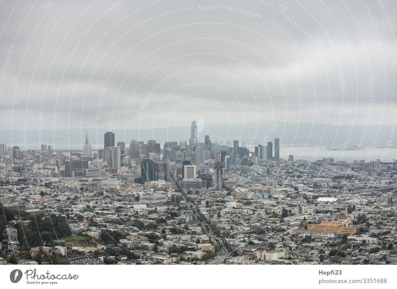 San Francisco from the Twin Peaks Town skyscrapers Street House (Residential Structure) gorge of houses Skyline USA California Peninsula Bay Office building