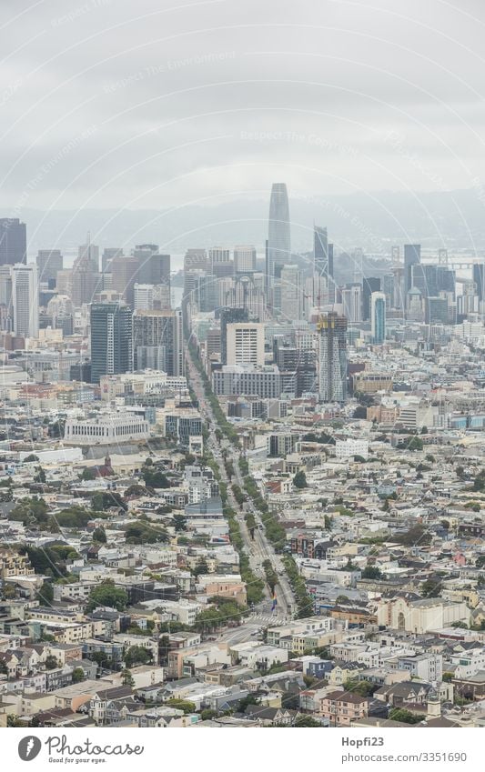 San Francisco from the Twin Peaks Town skyscrapers Street House (Residential Structure) gorge of houses Skyline USA California Peninsula Bay Office building