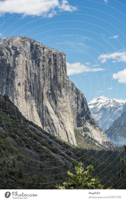 El Capitan in Yosemite National Park Yosemite Park Waterfall Granite Stone rock Tree trees Tall Steep huge River Nature Landscape Impressive Mountain