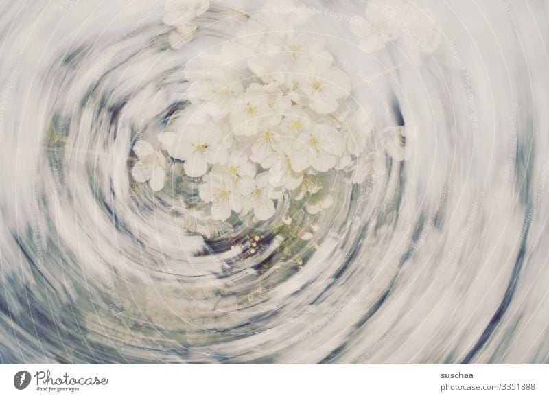 spring whirl Spring Swirl Whirlpool Gale rotation Movement Dynamics Abstract Flower Blossom Motion blur Experimental