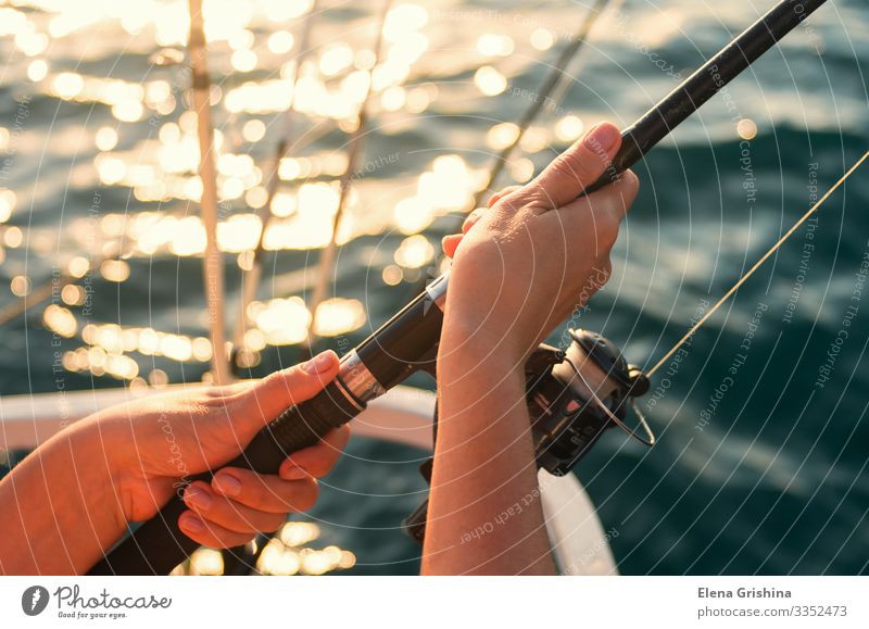 Fisherman is Empty Fish from Net in His Small Boat Stock Image - Image of  pile, green: 187875073