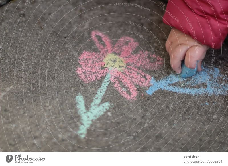 Child's hand paints flower with street chalk on asphalt Leisure and hobbies Playing Draw Chalk Cellphone Toddler Infancy Painting (action, artwork) Flower Blue