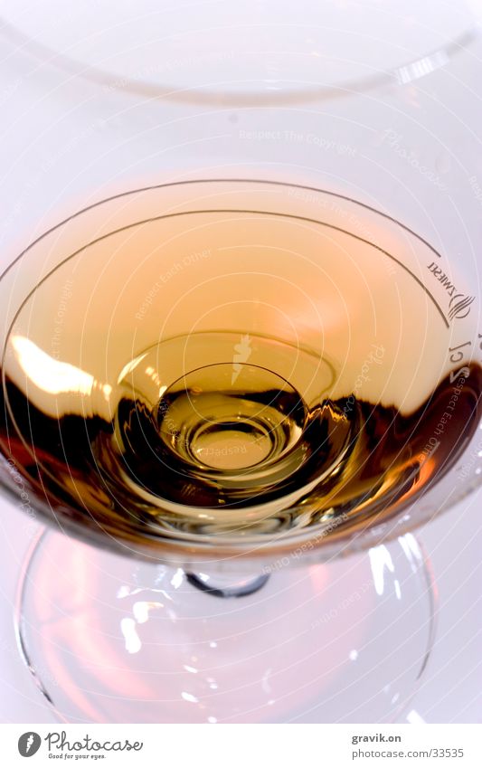 cognac Cognac Beverage Bar Alcoholic drinks Brandy balloon Glass Foyer