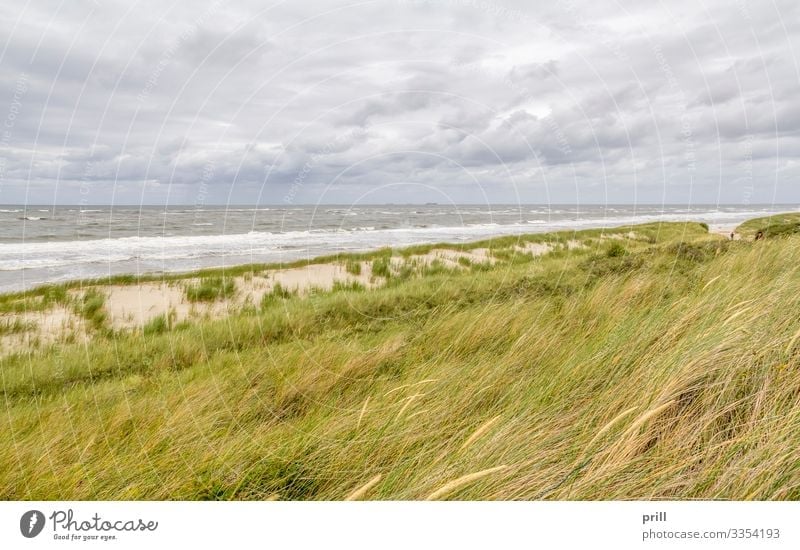 coastal scenery at Spiekeroog Relaxation Summer Beach Ocean Island Waves Nature Landscape Sand Water Coast North Sea Authentic East Frisland Friesland district