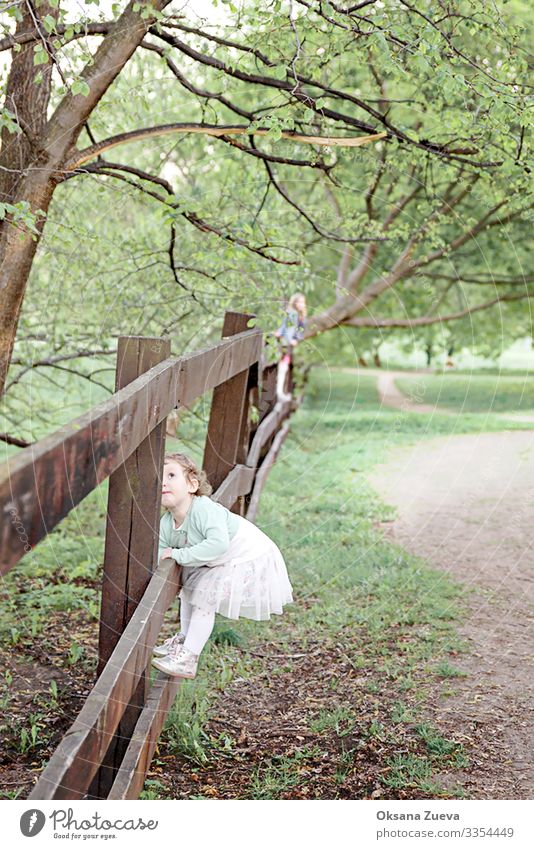 Girls climb a fence in the spring in the garden.The concept of childhood, cheerfulness, carefree. Summer Spring Grass Fence Arm Garden Warmth Relaxation Tree