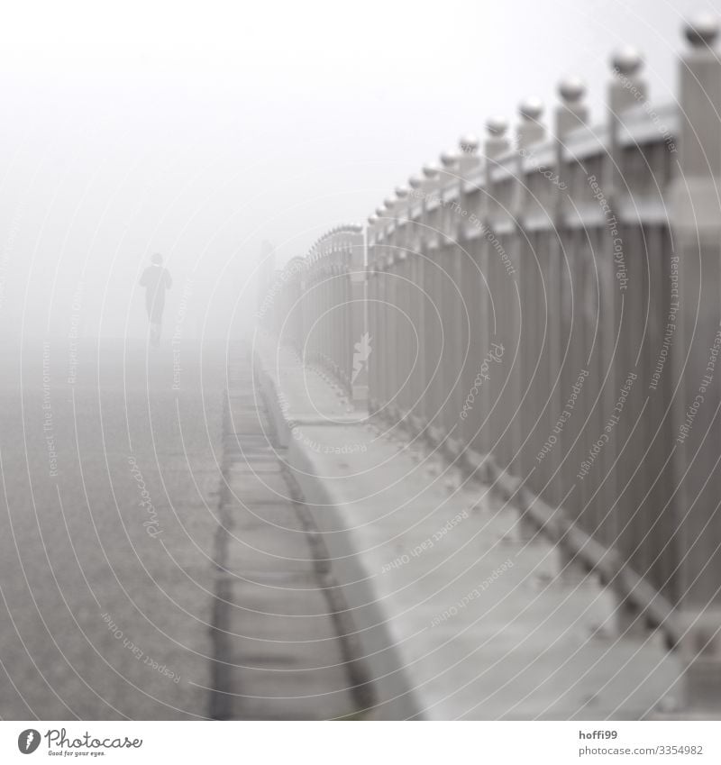 morning fog Sportsperson Jogging Human being 1 18 - 30 years Youth (Young adults) Adults Bad weather Fog Park Bridge Handrail Sidewalk Movement Fitness Walking