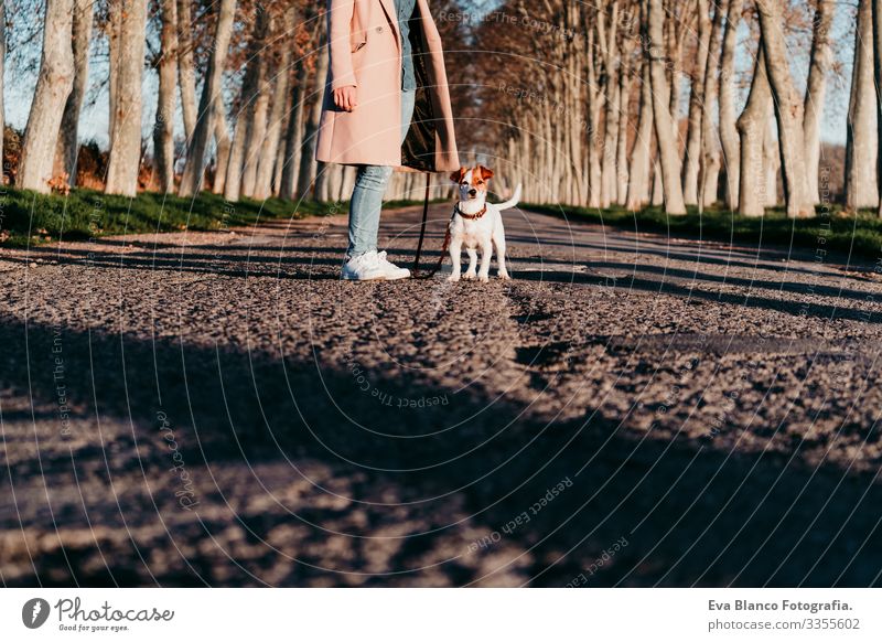 unrecognizable young owner woman and her cute jack russell dog sitting at sunset outdoors Woman Dog Street Sit Jack Russell terrier Pet Youth (Young adults)