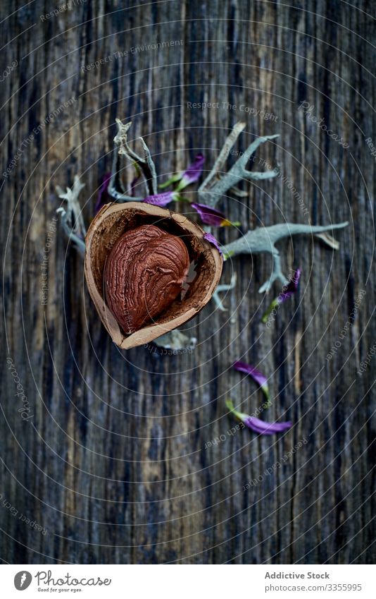 Half peeled hazelnut on dry branches at table brown harvest ripe half wooden filbert gathering heap ingredient natural organic edible healthy raw seed food