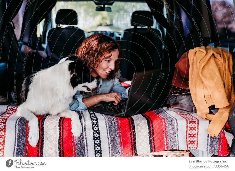 woman and border collie dog in a van. woman working on laptop. Travel concept Woman Dog Van van life Vacation & Travel Notebook Traveling owner