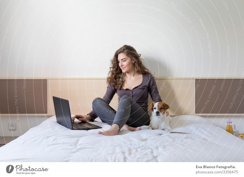 beautiful young woman sitting on bed with her cute small dog besides. She is working on laptop and smiling. Home, indoors and lifestyle Cozy Small Fatigue mood