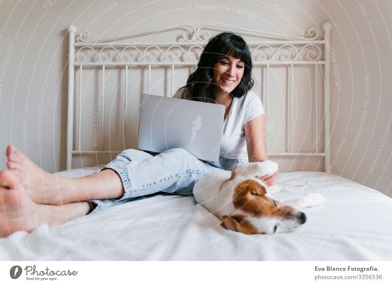 young caucasian woman on bed working on laptop. Cute small dog lying besides. Love for animals and technology concept. Lifestyle indoors Woman