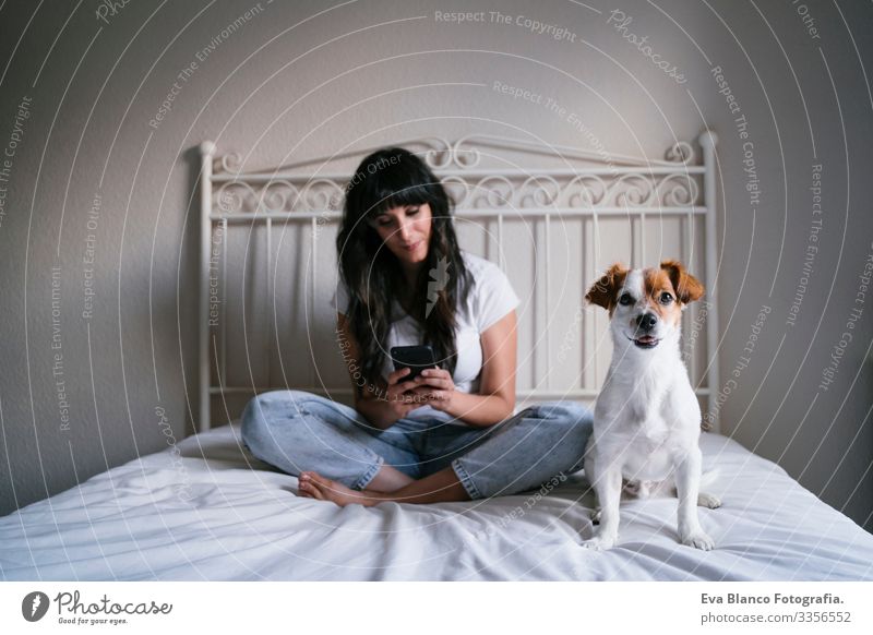 young caucasian woman on bed using mobile phone. Cute small dog lying besides. Love for animals and technology concept. Lifestyle indoors Girl Joy Lovely