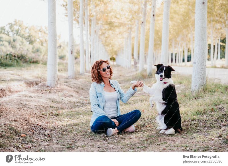 woman and beautiful border collie dog sitting in a path of trees outdoors. Woman owner Dog Pet Tree way Lanes & trails intelligent Beautiful