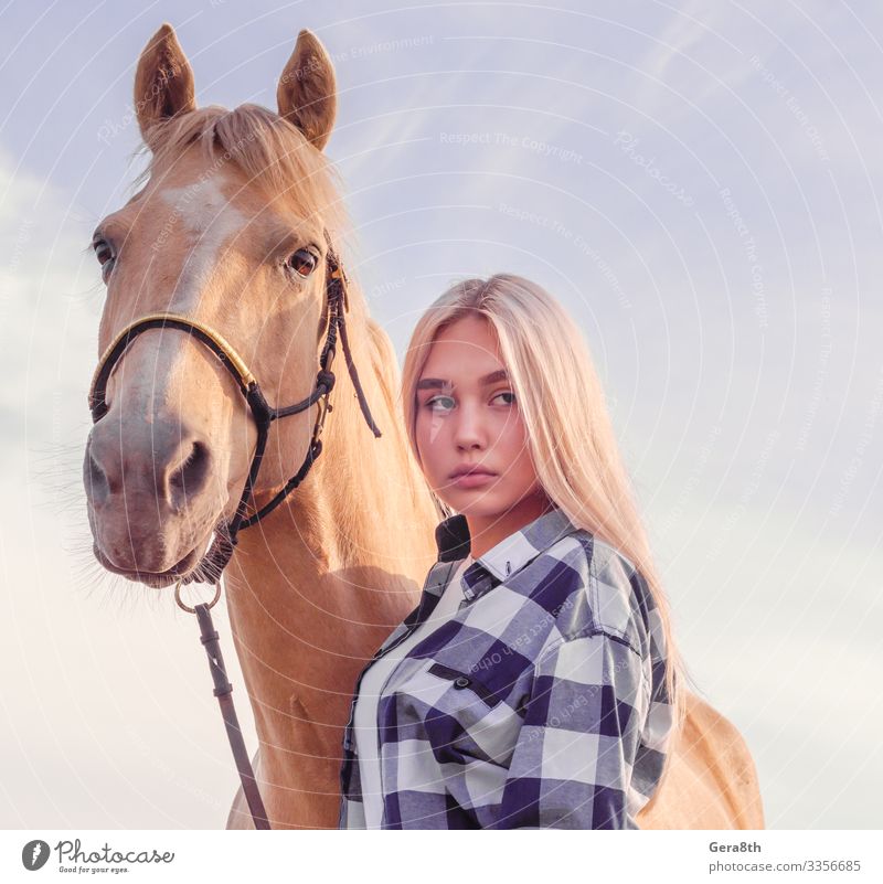 portrait of a young blonde girl with a beige horse on the ranch Style Beautiful Face Summer Woman Adults Friendship Animal Sky Village Fur coat Blonde Horse