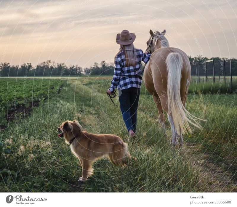young blonde girl in a hat and a plaid shirt walks with a horse Style Summer Woman Adults Friendship Nature Landscape Plant Animal Sky Clouds Warmth Grass