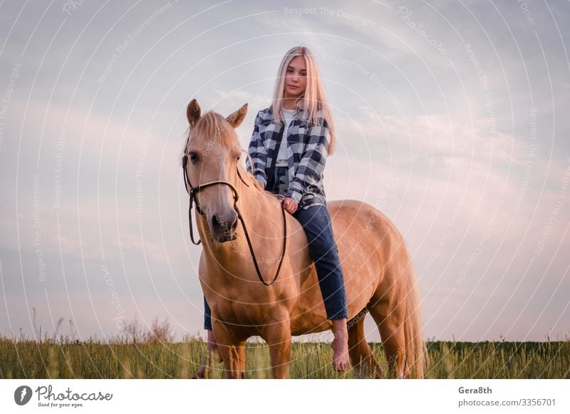 young blonde girl dressed in blue jeans sits on a horse Style Face Summer Woman Adults Friendship Nature Animal Sky Meadow Village Clothing Shirt Jeans Blonde