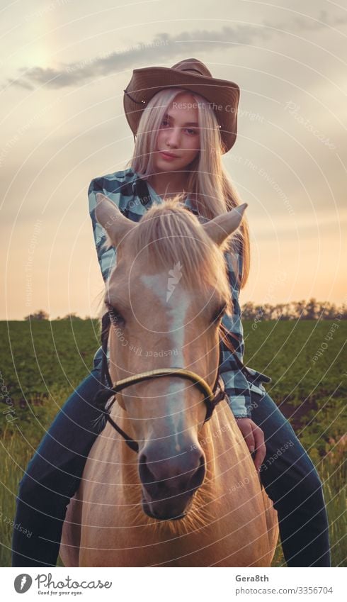 girl dressed in a cowboy hat and blue jeans sits on a horse Style Summer Human being Woman Adults Nature Plant Animal Sky Grass Meadow Village Clothing Shirt