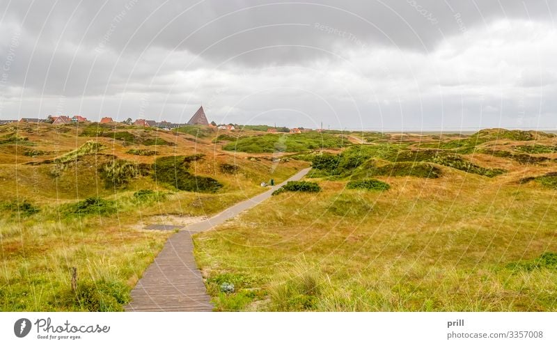 Spiekeroog in East Frisia Summer Island Landscape Plant Bushes Coast Village Lanes & trails Authentic East Frisland Friesland district Germany Northern Germany