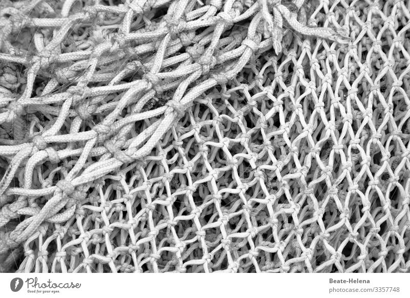 Networking: fishing nets of different knotting and rope thickness Fishing net Link Diameter pattern mix networking Fishery Exterior shot Rope thickness Deserted