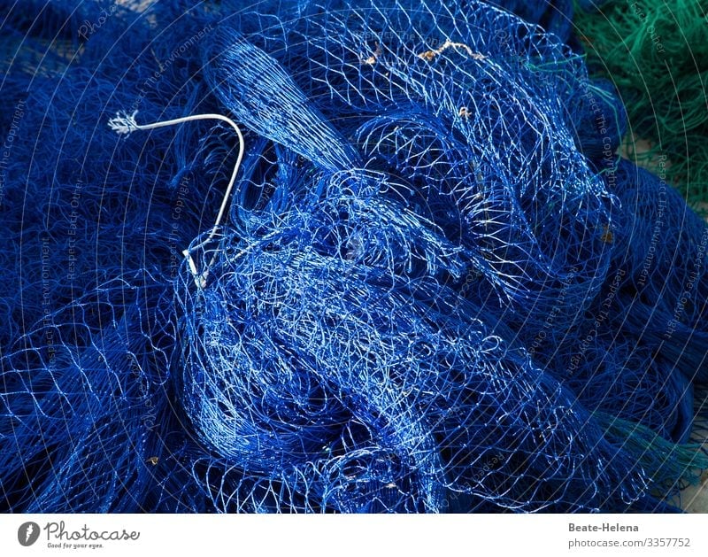 Total blue 5 Blue Net Fishing net Colour photo Fishery Exterior shot Network Structures and shapes