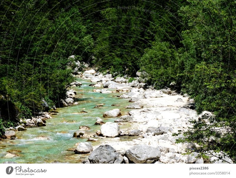Wild Isonzo river and green wood near Trenta Relaxation Vacation & Travel Tourism Adventure Summer Environment Nature Landscape Sky Tree Park Forest Rock Alps