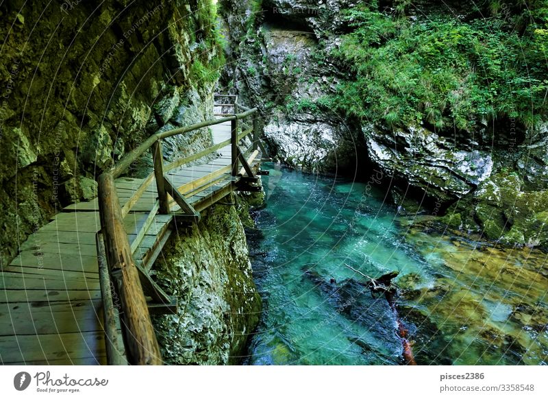 Vintgar Gorge wooden path and beautiful Radovna river Vacation & Travel Tourism Summer Hiking Environment Nature Landscape Moss Park Rock Alps Canyon River