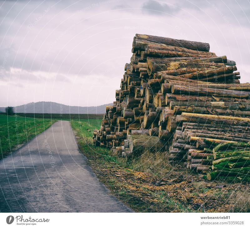 Stacked firewood beside a small road Calm Environment Nature Landscape Plant Sky Grass Transport Street Lanes & trails Long Firewood Country road way