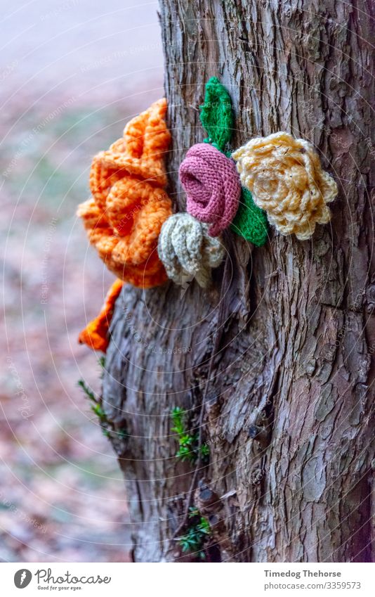 Knitted Flower Relaxation Decoration Plant Tree Blossom Cloth Love Growth Soft Peace bark blooming Botany children flower colorful colourful flower