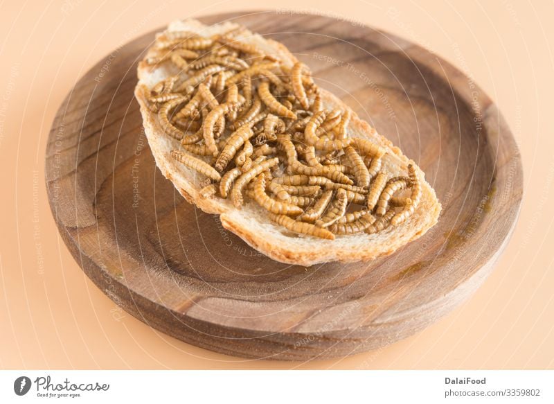 3359802 Endible Worm With Bread In Grown Background Bread Worm Photocase Stock Photo Large 